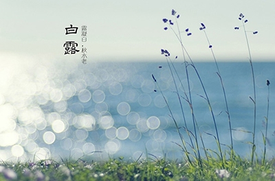 白露降，秋意濃