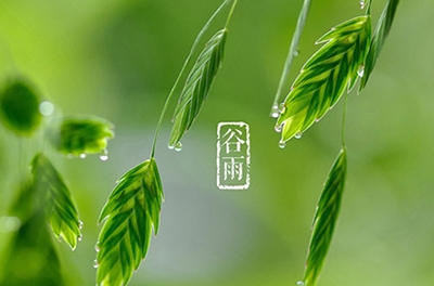 谷雨，播種希望