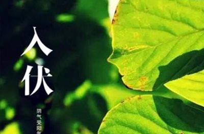 入伏在即，酷暑將至