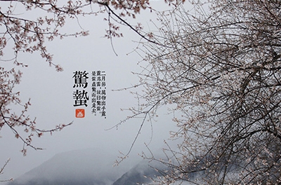 春雷起，驚蟄出